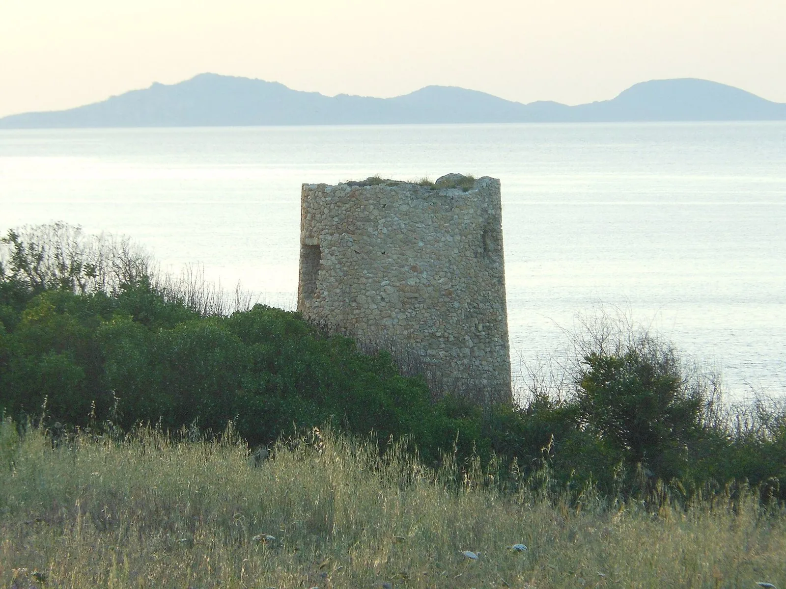 La torre costiera di Abbacurrente, a tronco di cono, tra la macchia mediterranea e l'erba alta, con il mare del golfo e un profilo di rilievi all'orizzonte