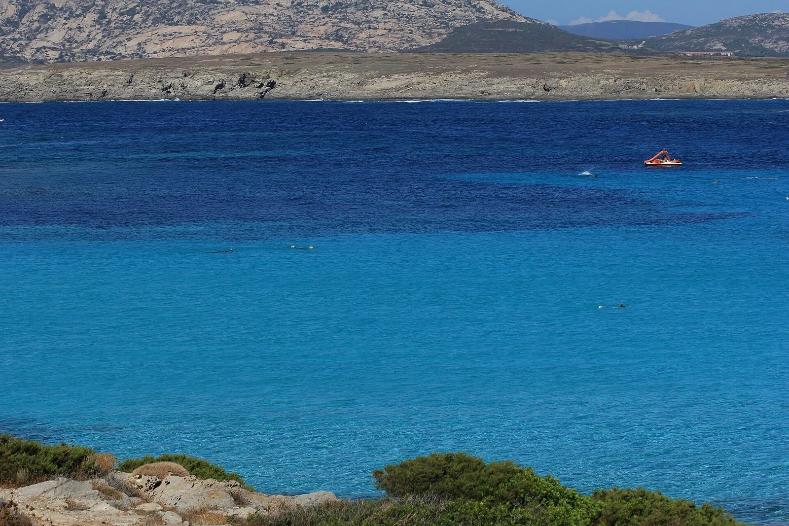 Il mare turchese e blu de La Pelosa a Stintino, con qualche nuotatore in lontananza, la macchia mediterranea in primo piano e una costa rocciosa sullo sfondo
